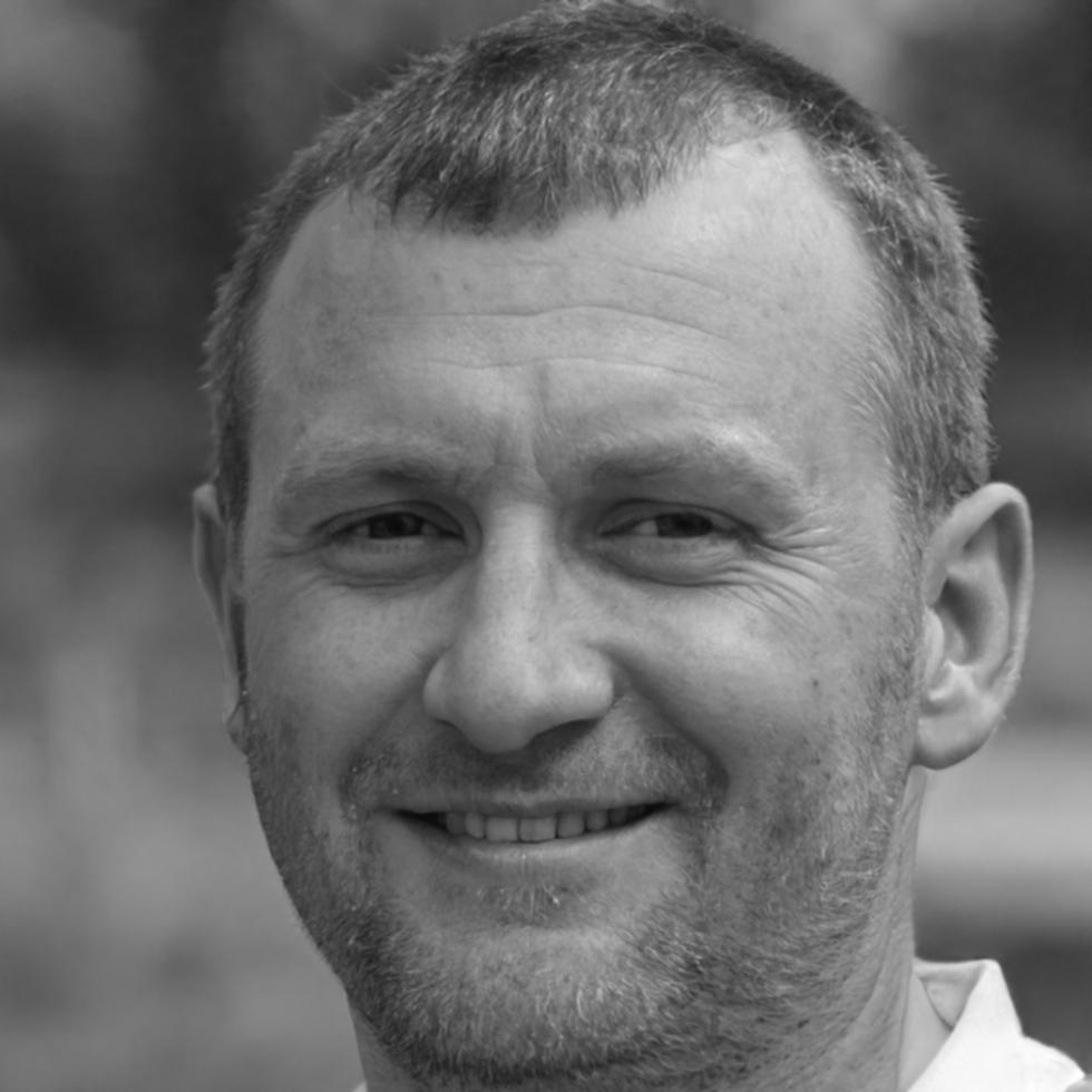 Carlos Mendoza, Consultor Independiente
